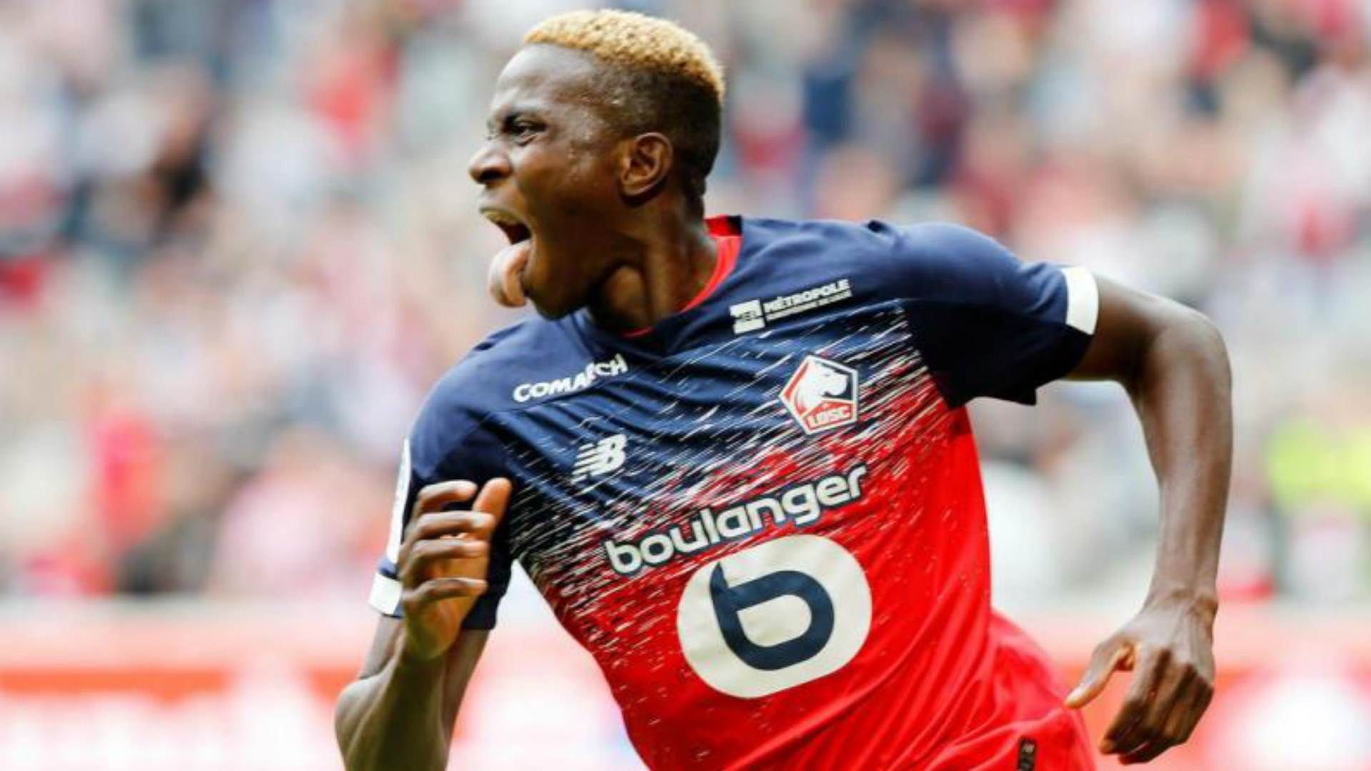 Victor Osimhen - LOSC Lille (Nigeria)