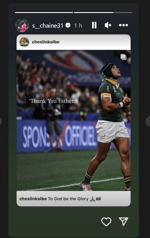 Bokke