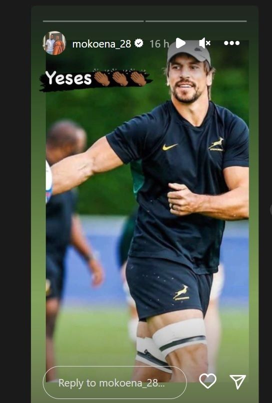 Bokke