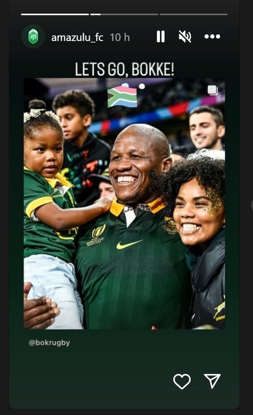Bokke