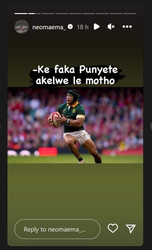 Bokke