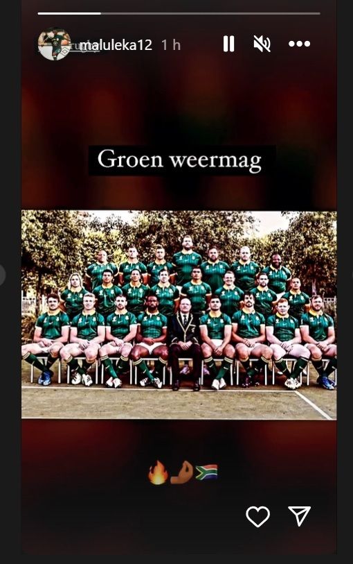 Bokke