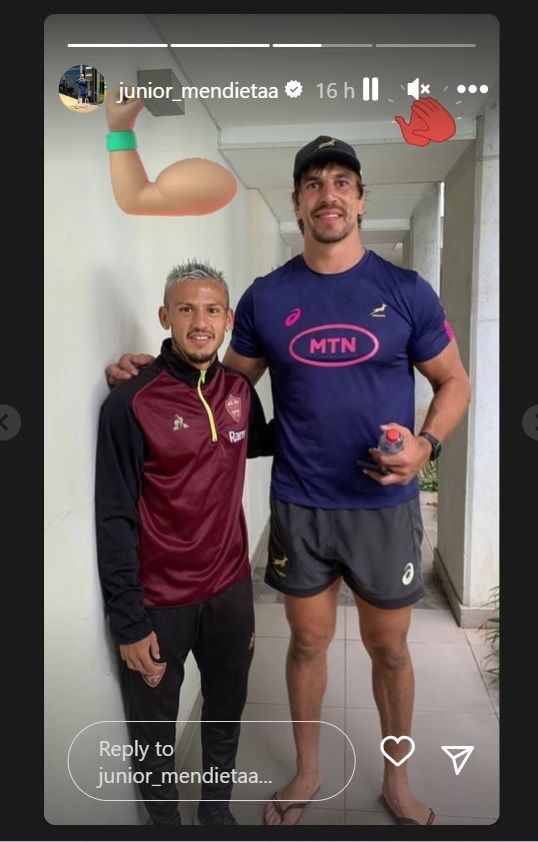 Bokke